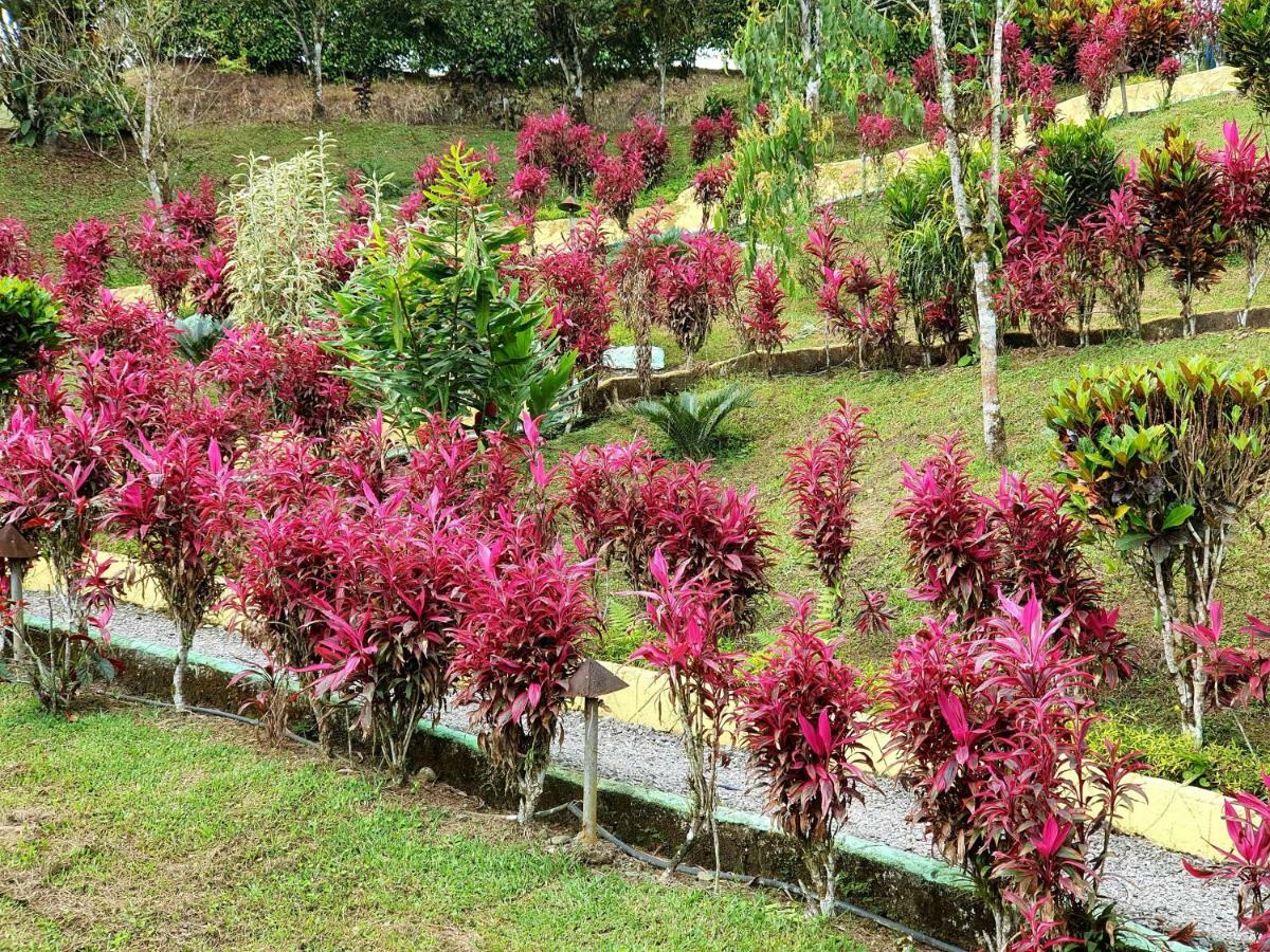 Hosteria Kasadasa ซานโต โดมิงโก เด ลอส โคโลราโดส ภายนอก รูปภาพ